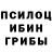 Галлюциногенные грибы Psilocybine cubensis Dusan Dimic