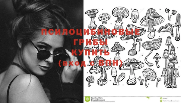 молекула духа Осинники