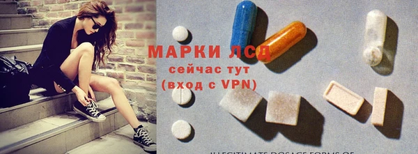 прущий лед Алзамай